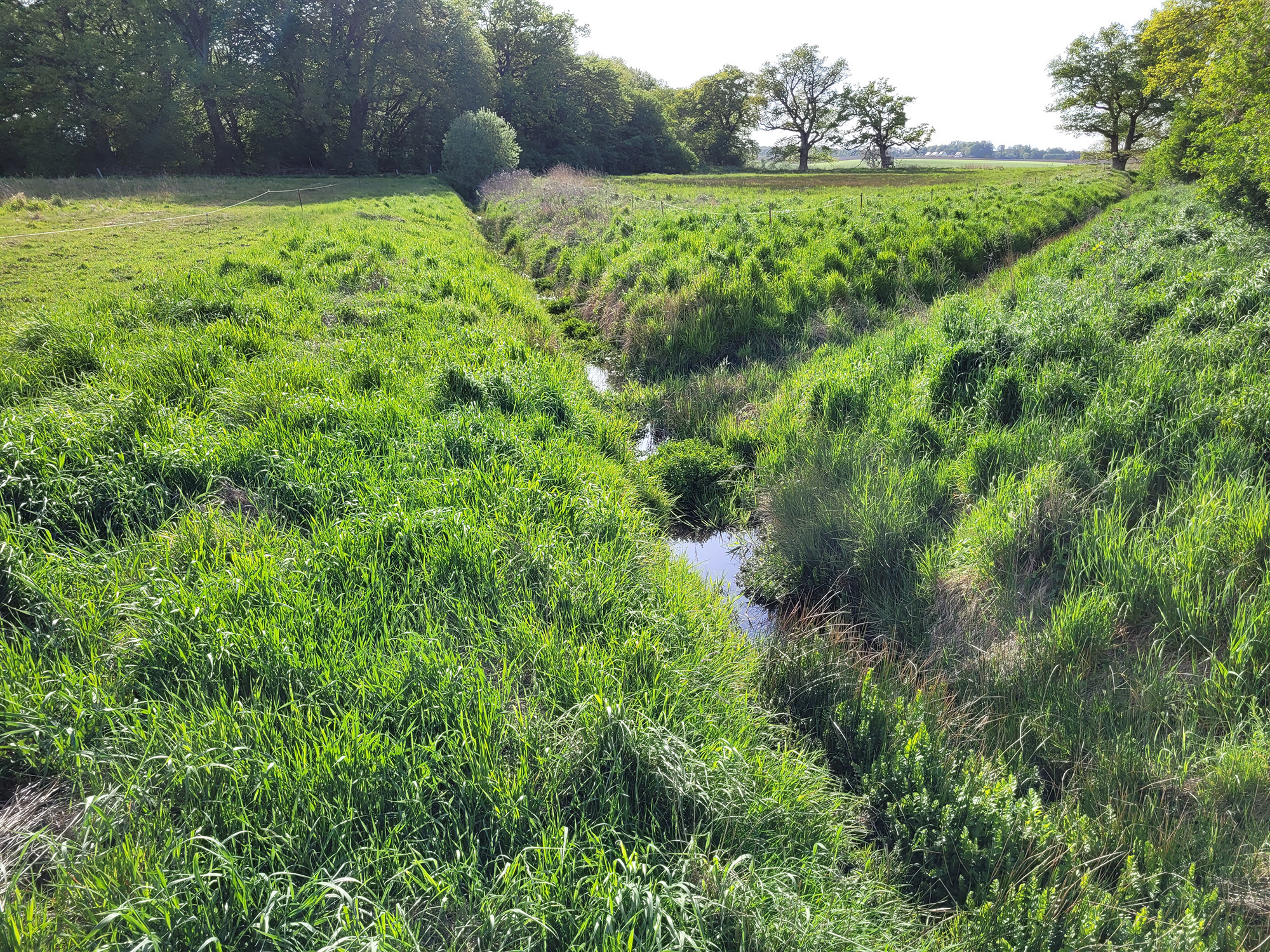 Polder Bauernhand Ansicht
